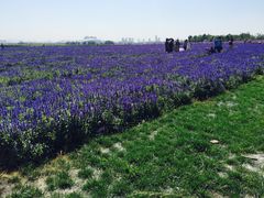 -赛汗塔拉风情园