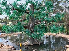 -西霞口神雕山野生动物世界