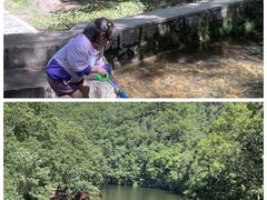 -洛阳白云山景区