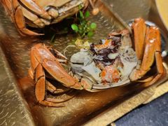 -牛New寿喜烧(新六百店)