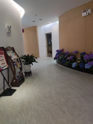 -天津伊美尔医疗整形美容专科医院