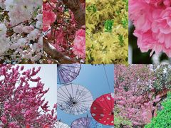 -石岛赤山风景区