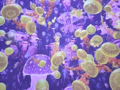 -海合安青岛极地海洋公园