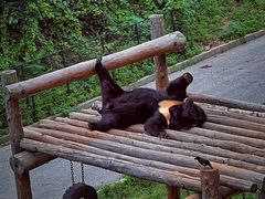 -大连森林动物园