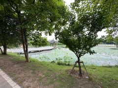 -青龙山国家森林公园