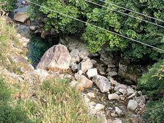 -三清山希尔顿度假酒店