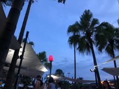 -重庆海昌加勒比海水世界