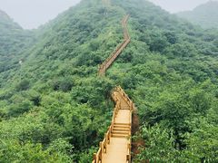 -大岭沟猕猴桃谷风景区