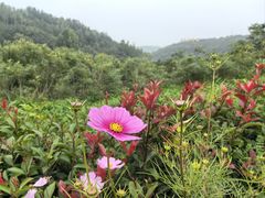 -白鹿原影视城
