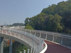 -金鸡山公园