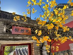-潭柘寺景区
