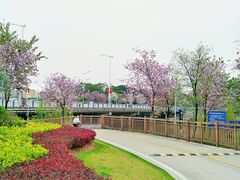 -广东花都湖国家湿地公园