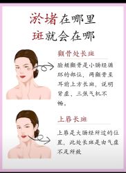 点击看大图 -玛莲朵·海菲秀冰珀科