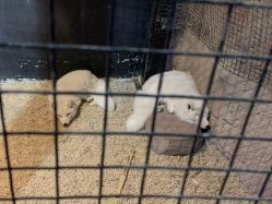 -酷嗒动物文化乐园(cutezoo西溪乐天城店)