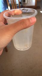 -中国福利会国际和平妇幼保健院(徐汇院区)