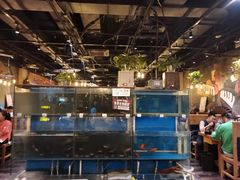 水产区-小俩口烧烤东北菜(双井店)