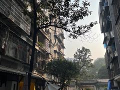 -苏家巷36号公馆
