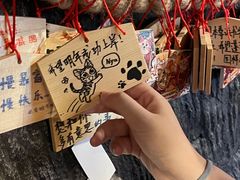 -猫猫幼稚园·撸猫·桌游·电玩