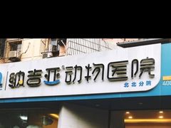 -纳吉亚猫专科动物医院·北北分院