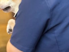 -拜鲁耶动物诊疗中心·宠家动物医院