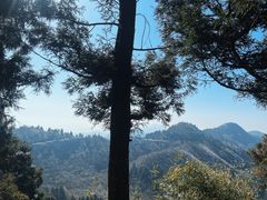 -南岳衡山风景名胜区-南岳大庙