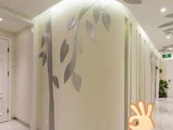 -健身堂科技美肌SPA
