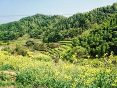 -灵山景区梯田