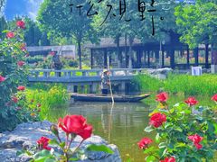 -大兴世界月季主题园