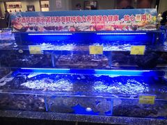 水产区-新海渔港·胶东海鲜家常菜·家宴(奥体中心店)