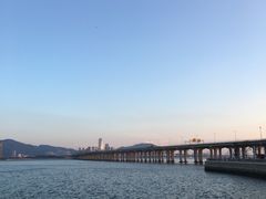 -宝安西湾红树林湿地公园