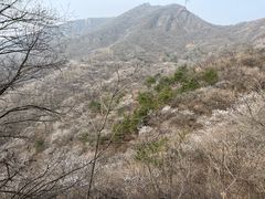 -妙峰山风景名胜区