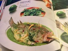 -狮拾久·现代新加坡料理(福田COCO Park店)