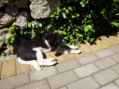 -东极岛景区