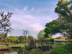 -美兰湖景区