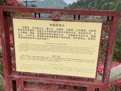 -木兰云雾山