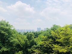 -西湖风景区-江洋畈生态公园