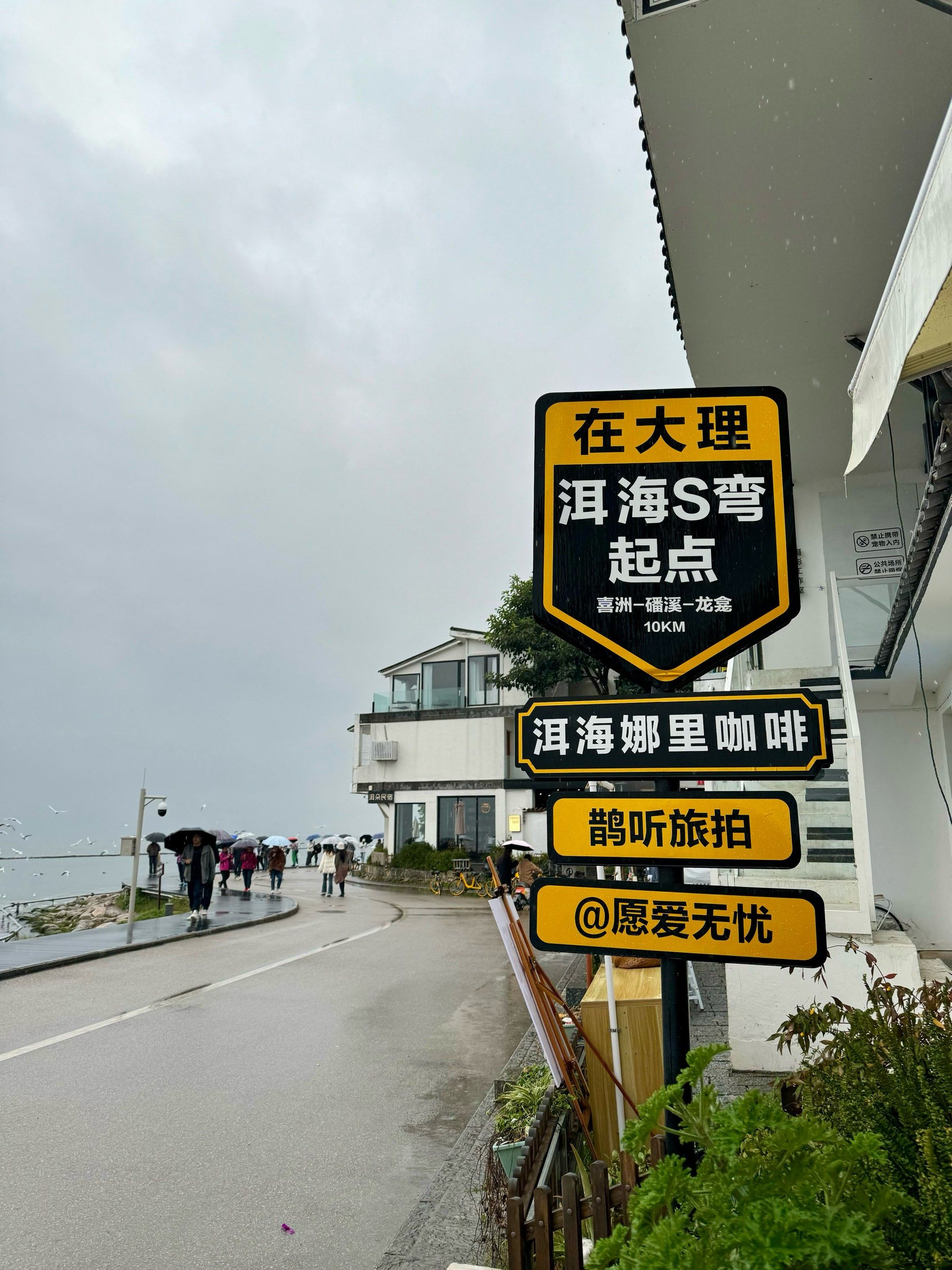 大理洱海雨中漫步