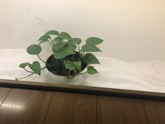 -常乐·对症推拿(来福士第43分店)