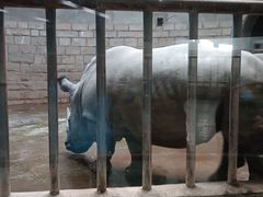 -北京动物园-畅观楼