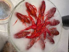 -红盔甲·小龙虾(天钥桥店)