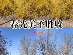 -云岗森林公园