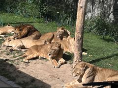 -北京野生动物园