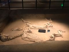 -洛阳周王城天子驾六博物馆