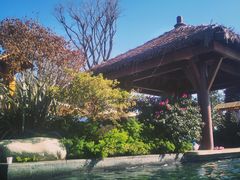 -七彩云南古滇温泉山庄