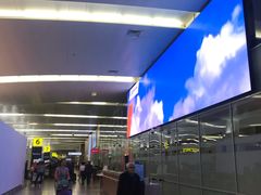 -谢列梅捷沃国际机场