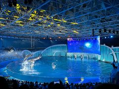 -海合安青岛极地海洋公园