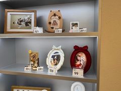 -海马体照相馆(深圳光明蓝鲸世界店)