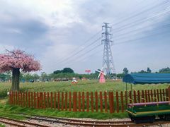 -盈香心动乐园