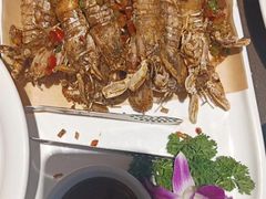-福来齐·鲁菜海鲜·渔家菜(朝阳街分店)