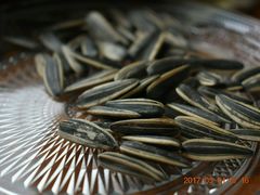 -千岛湖城中湖游船码头